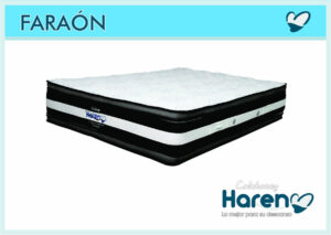 FARAÓN TOP